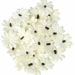 Blommor, pastell