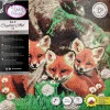 Crystal Art Kits Canvas Fox Cubs