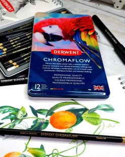 Derwent Chromaflow, 12 st