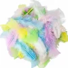 Fjädrar pastell