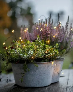 Ljusslinga Dew drop outdoor