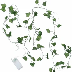 Ljusslinga Ivy